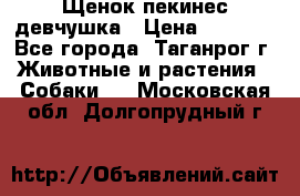 Щенок пекинес девчушка › Цена ­ 2 500 - Все города, Таганрог г. Животные и растения » Собаки   . Московская обл.,Долгопрудный г.